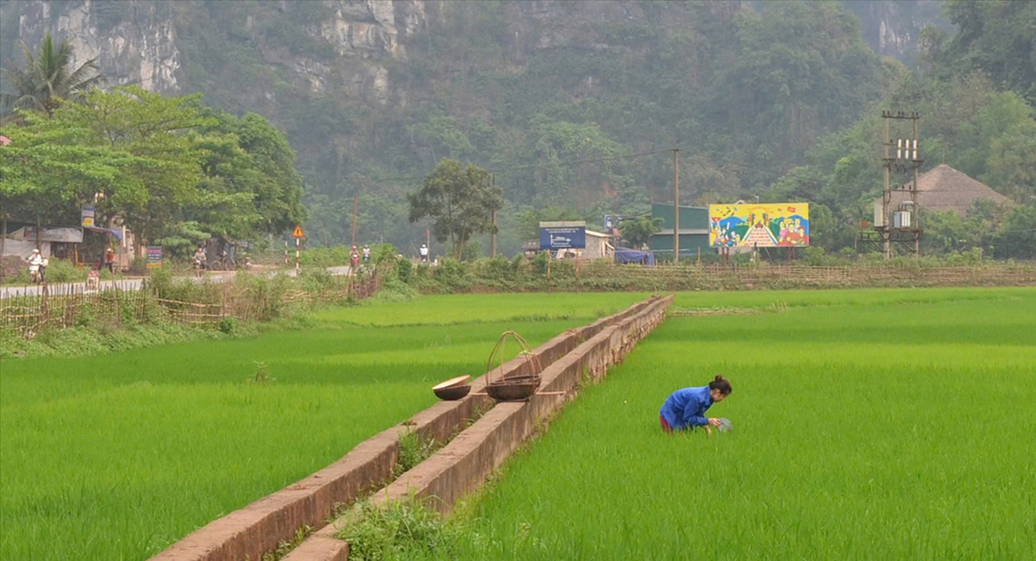 Đất ONT là gì Đất ONT là gì