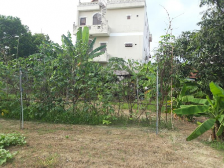 đất nền đường số 11